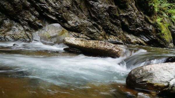 羅木斯溪登山步道113467