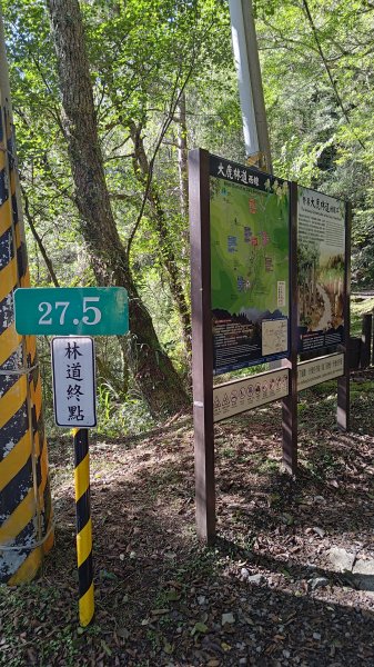 榛山景觀平台2918092