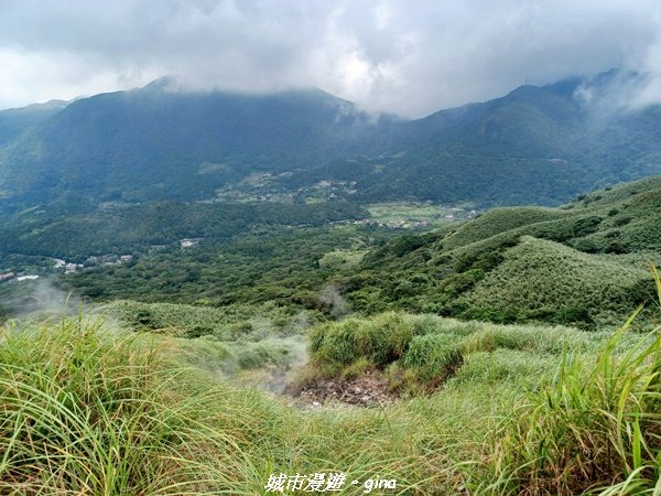 【台北北投】搭捷運公車爬山趣。 小百岳集起來。編號2小百岳~七星山步道1766578