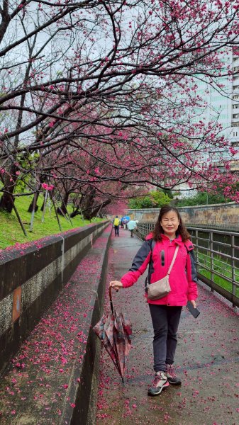 東湖樂活公園→內溝溪步道→五分埤生態濕地→內溝溪生態展示館、花博公園圓山園區→撫順公園3031610
