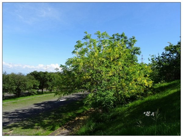  台中都會公園步道1001023