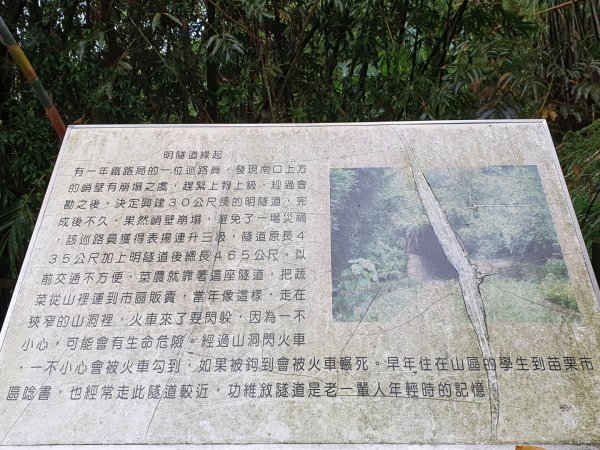 貓貍山公園，功維敘隧道1140921