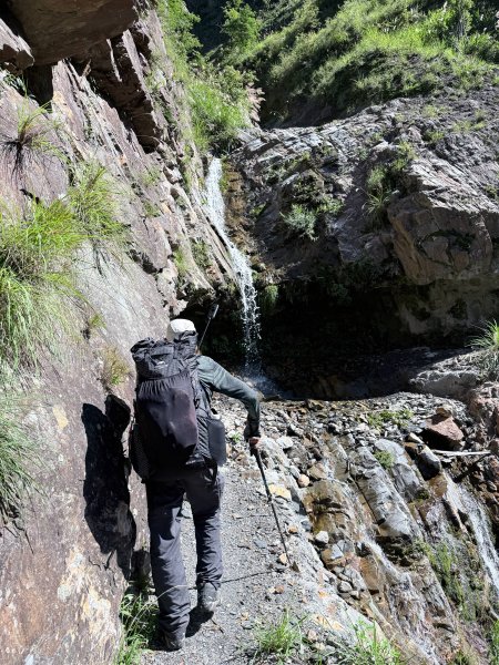 來去郡大坐龍貓公車順登對關山2822338