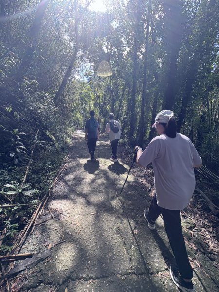 20250830台南關仔嶺大凍山步道2914678