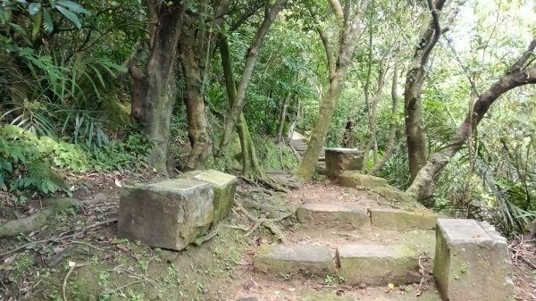 基隆市海興森林步道-情人塔-老鷹岩-情人湖登山步道O型3092724