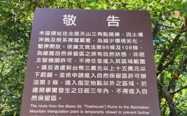 【中級山】插天山的奇幻世界，赫威山，赫威神木群步道2741301