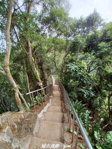 【彰化田中】蓊鬱森林有點陡。 田中森林登山步道1925579