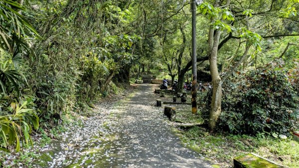 大尖山。走向2770851