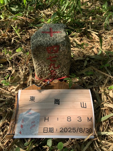 20250830高雄東崗山2877033