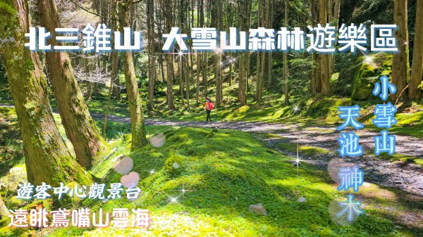 【北三錐山】大雪山最療癒夢幻的19公里森林秘境！全程紀錄