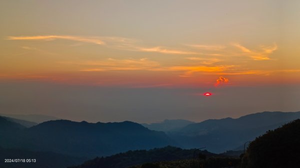 雲山水花鳥蝶 - 天龍國阿伯的日常7/18 & 21、22、292553972