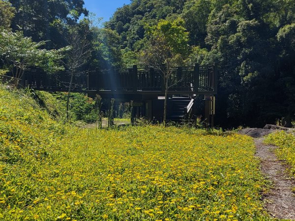 20220709烏來福山馬岸古圳步道1800204