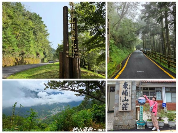 【南投信義】排雲山莊 x#15百岳_玉山西峰3111618