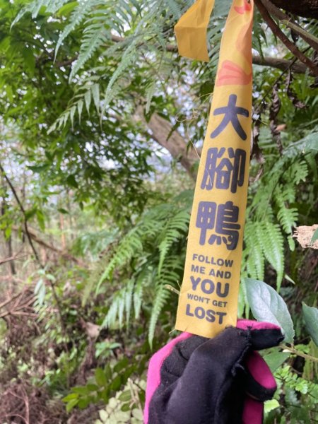 銀河洞越嶺貓空-新高麗坑山-銀獅縱走-猴山岳群峰+三條魚縱走2699518