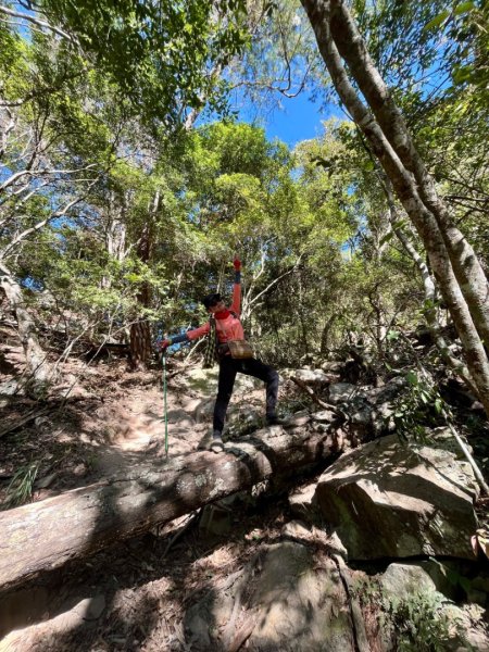 【谷關七雄】波津加(H1771.6m)肉腳配速成功2670572