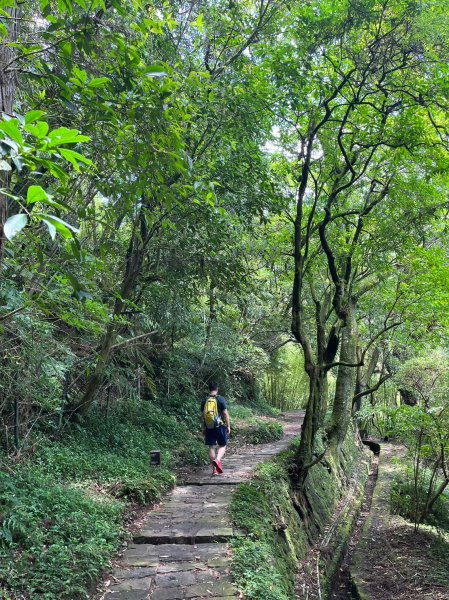 台北 陽明山 絹絲瀑布-擎天崗2722165