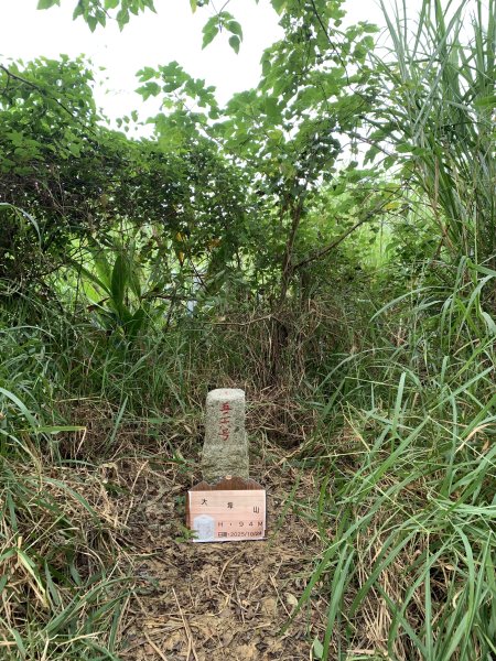 20251024台南大坪山2925607