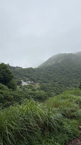 夢幻七星3074393