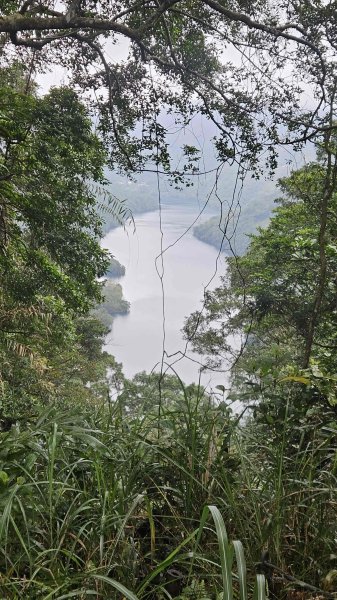 20251230九芎根山-芋圓尖-火炎山南主東峰-仁里坂山2977809