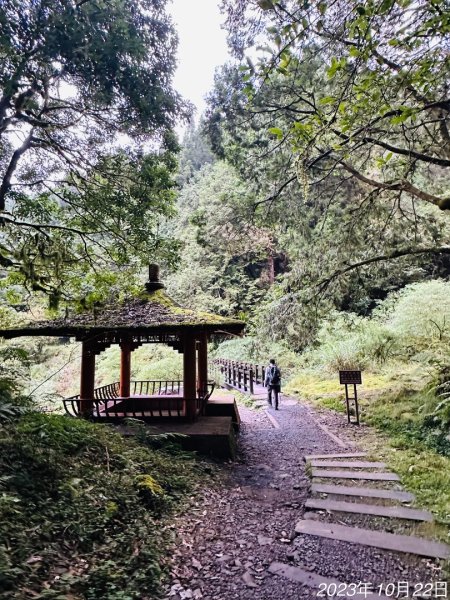 特富野古道2846019