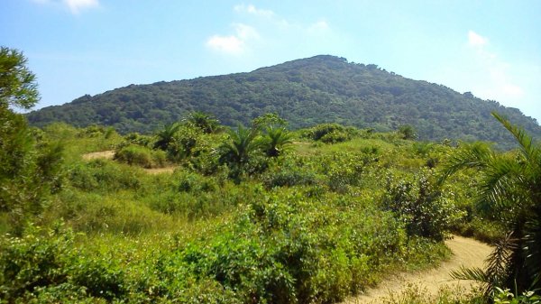 【新聞】沙灘車飆山追鹿破壞水土生態，墾管處加強取締