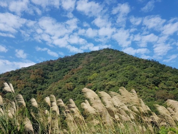 2018.12.17 天母-水管古道490937