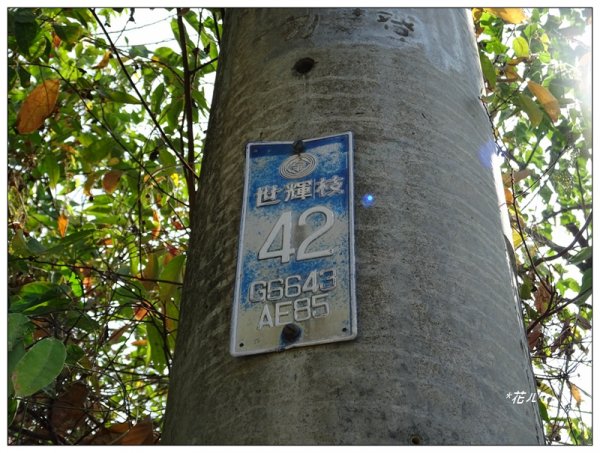 坪林山/台中-太平1283409