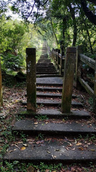 桃源谷+草嶺古道730512