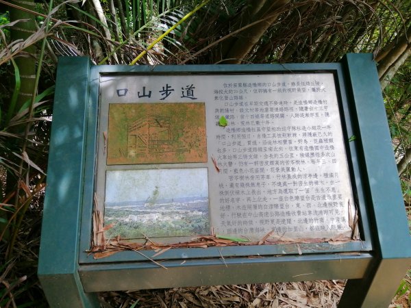 苗栗造橋~林相豐富的質樸古道。口山古道1006062