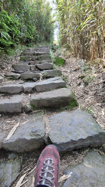 七星山主東峰登高望遠2117049