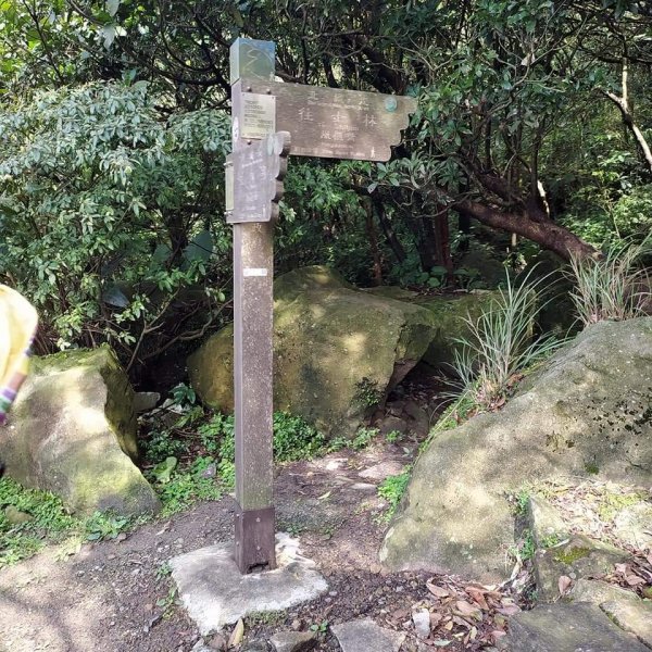 臺北大縱走第四段1293128