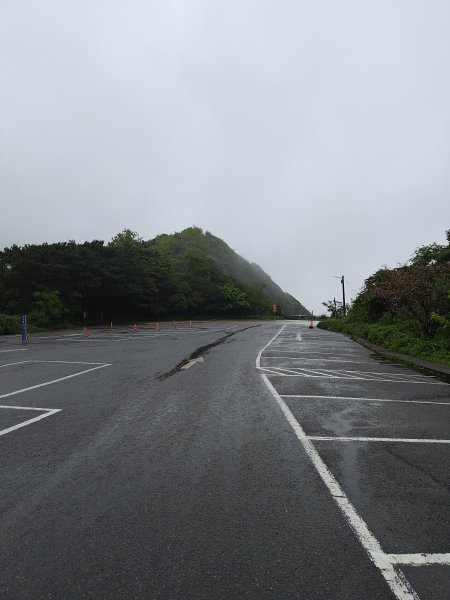 20260327茶壺山3024495