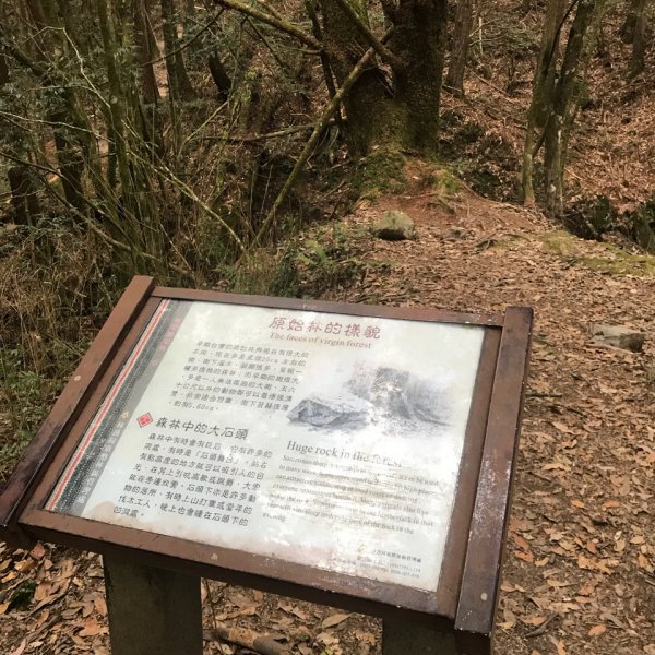 谷關七雄 馬崙山（老二）2023.03.042051358