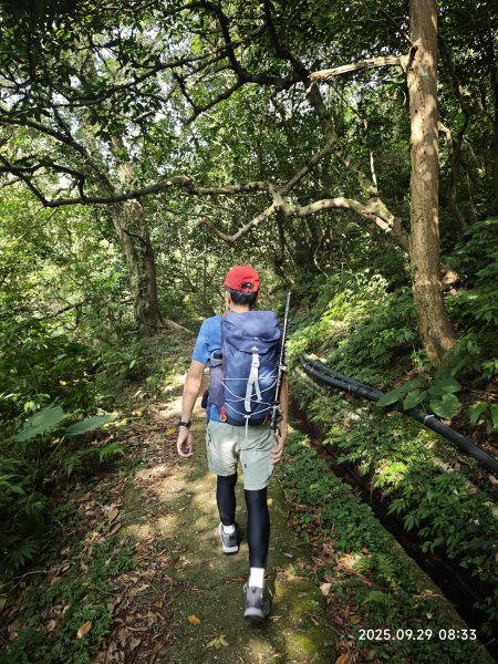 2025-0929 鹿堀坪古道2899420