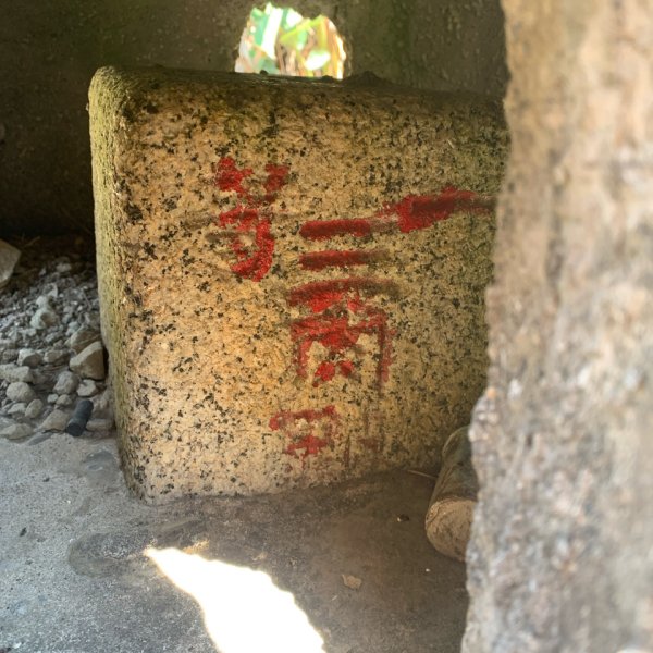 20250222屏東赤牛嶺-大山母山-小尖石山2719886