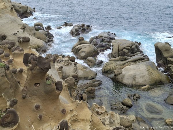 《基隆》奇石黑鳶｜和平島地質公園環山步道O繞202609183121021