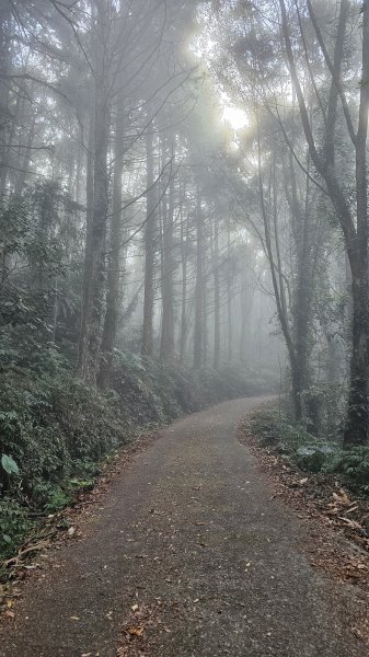 【馬年走馬山，馬到就成功！】🐴馬年馬路要走，馬那邦🏔️也要登！O繞11K，爬升900M，🥾腿在2977179