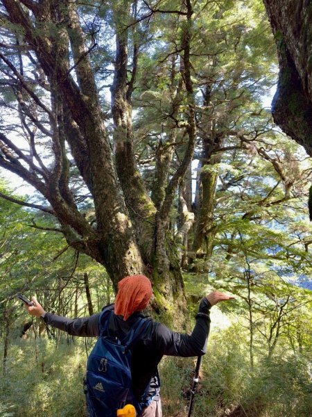 20250620南橫三山塔關山2816706