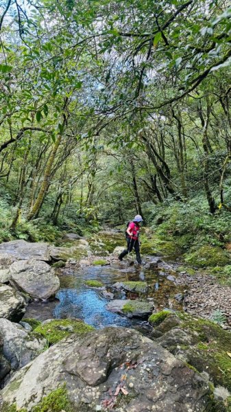 烘爐地山、桶後溪源頭O走2593127