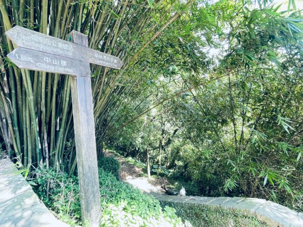 20261009 菁苗步道（苗圃登山口-菁山自然中心-前山公園）3133901