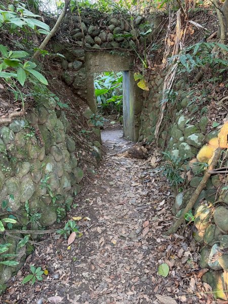 新北 金山 磺港山 獅頭山3000185