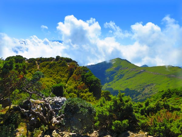 搭公車爬CP值最高的百岳：合歡群峰748424