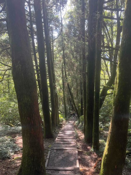 台北 陽明山 絹絲瀑布-擎天崗2722195