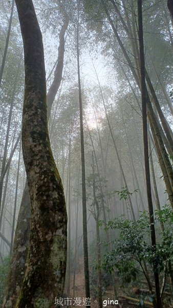 【南投魚池】中部四大名山之山高路遠。 水社大山登山步道2037926