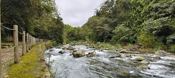 2025/03/16_蓬萊溪護魚步道+萊園坪山2737576
