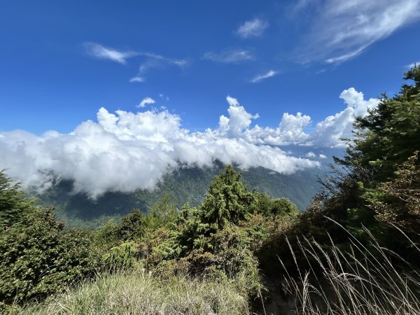 桃山3095917