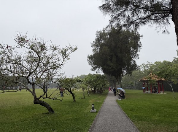 [樟之細路_第一大段RSA03] 2026_0329 石園3027045
