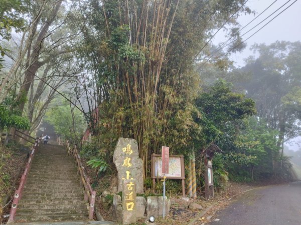 [苗栗獅潭][三]鳴鳳古道、三湖山、蕃子寮山、福興山