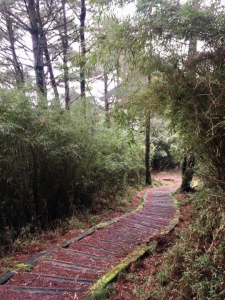 鹿林山388557