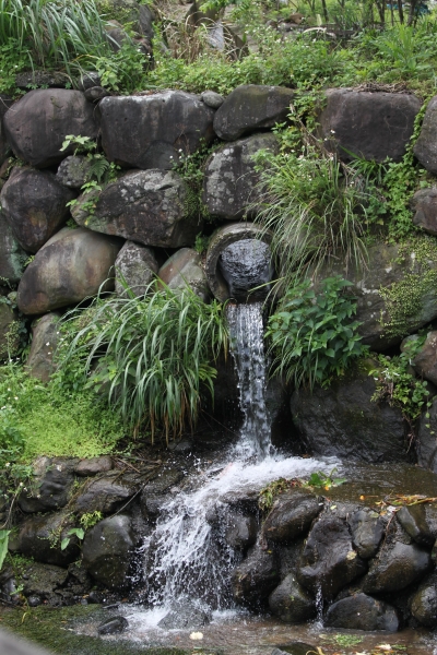 20160508新北市三芝區三生賞桐花步道90747